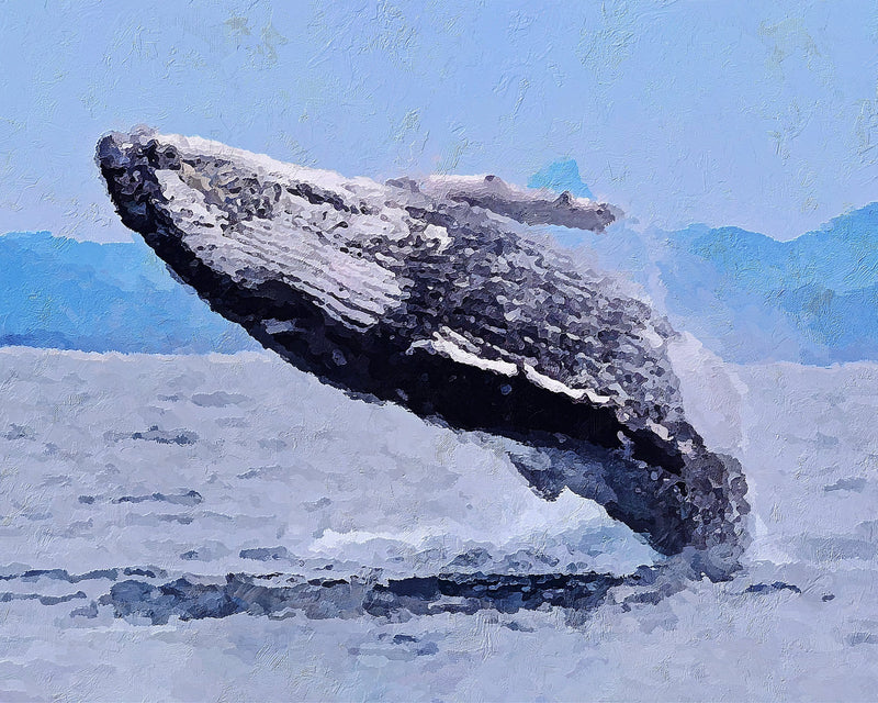 Whale Jump Stretched Canvas