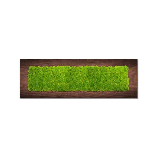 Moss Art – Articture